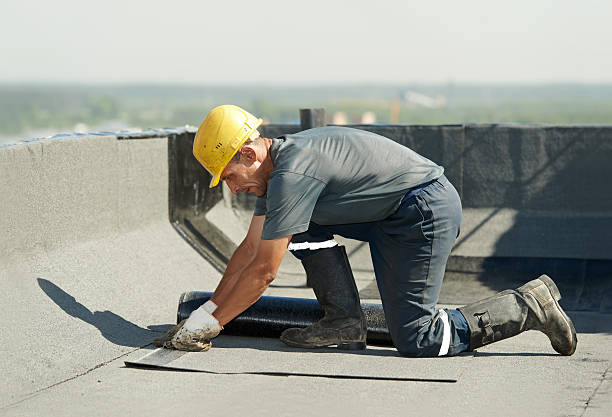 Best Insulation Maintenance and Repair in Dawson, MN