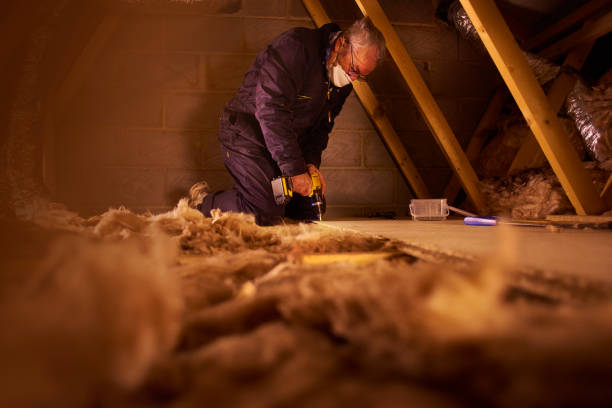 Best Cellulose Insulation in Dawson, MN